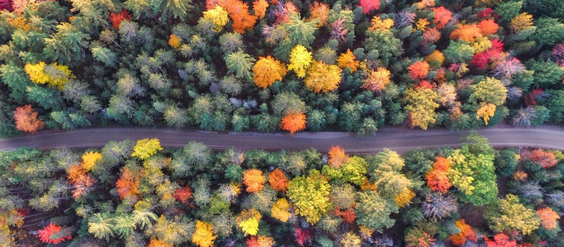 aaron-burden-Qy-CBKUg_X8-unsplash