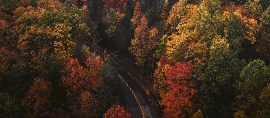 chad-madden-cPa-7yByq3o-unsplash