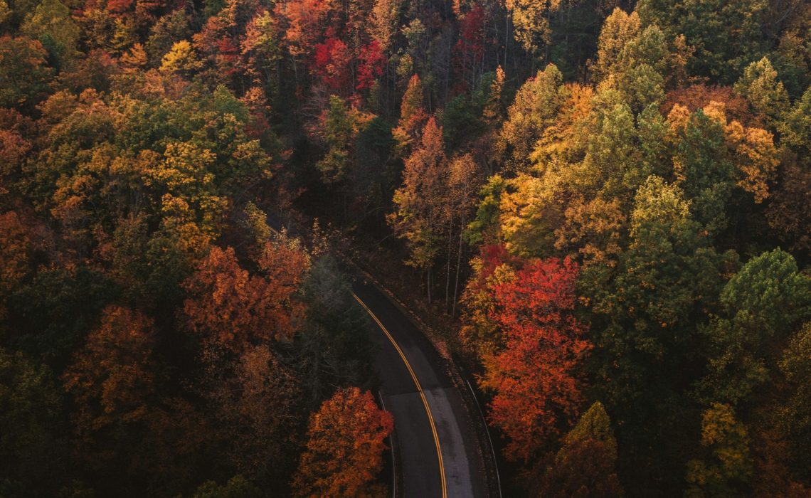 chad-madden-cPa-7yByq3o-unsplash