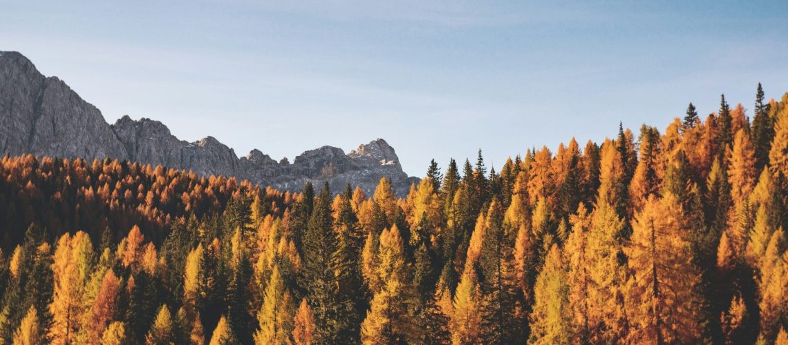 federica-galli-pF1ug8ysTtY-unsplash