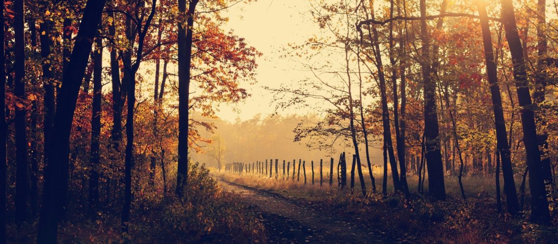 lukasz-szmigiel-ps2daRcXYes-unsplash